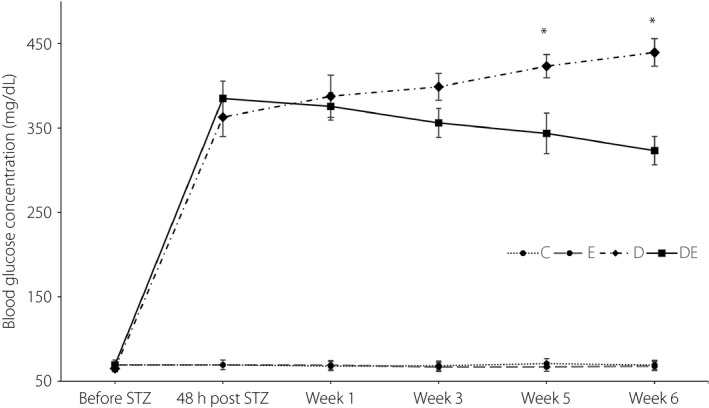 Blood glucose levels during the intervention. *Significantly different from the diabetic and exercise (DE) group. C, control group; D, diabetic group; E, exercise group; STZ, streptozotocin.