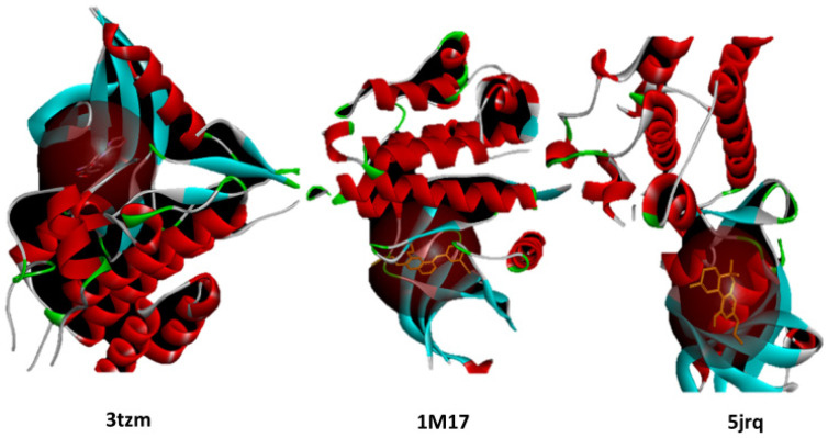 Visualization of the active site grid box positioning for EGFR, BRAF V600E, and TGF-β proteins based on their co-crystallized ligands. The grid boxes define the docking regions used in the molecular docking simulations. 3tzm; 1m17; 5jrq.