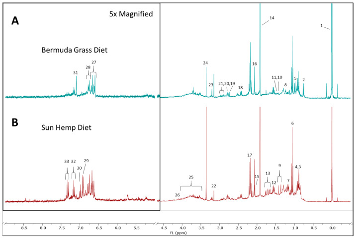 Representative 1H NMR spectra of fecal metabolomes of goats grazing on Bermuda grass field (A) or a Sunn Hemp paddock (B). 1: 3-(trimethylsilyl)propionic acid (TSP); 2: Unknown metabolite; 3: Butyrate acid/FAs 4: Pantothenic acid; 5: valine; 6: propionate; 7: ethanol; 8: Unknown metabolite; 9: Lactate; 10: Unknown metabolite; 11: Alanine; 12: Butyrate; 13: Arginine/Lysine/Unknown; 14: Acetic acid; 15: N-acetyllysine/Acetylated proteins; 16: N-acetyl/ Proteins/Carbohydrates; 17: Propionate/Butyrate; 18: Succinate/unknown metabolite; 19: Unknown metabolite; 20: Unknown; 21: Unknown metabolite; 22: Dimethyl sulfone; 23: Choline, Phosphocholine, Carnitine; 24: Methanol (excluded); 25: Glucose/Sugar; 26: Lactate; 27: Unknown metabolite; 28: Unknown metabolite; 29: Tyrosine; 30: Unknown metabolite; 31: Unknown metabolite; 32: Unknown metabolite; 33: Phenylalanine.