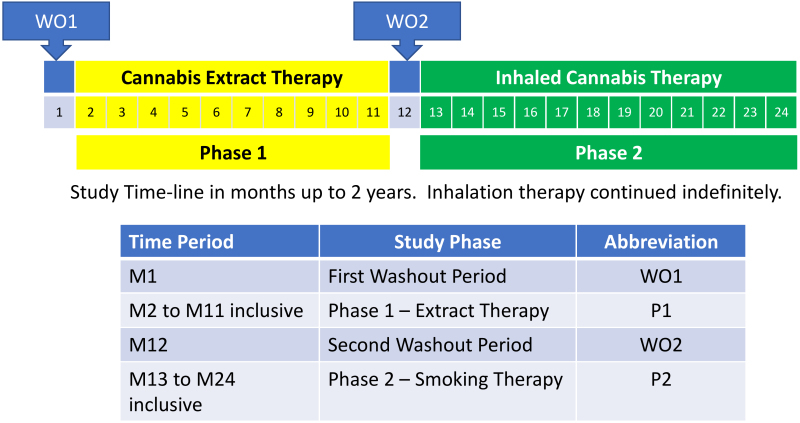 Study Timeline.A washout period of 1 month (WO1) was followed by 10 months of cannabis extract therapy, a second 1-month washout period (WO2), and a minimum of 12 months’ inhalation therapy, which was continued indefinitely, with follow-up every 6 months.