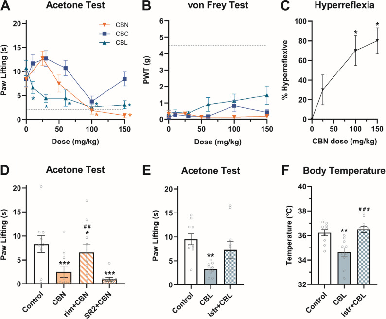 CBN and CBL reduce cold allodynia caused by CCI sciatic nerve injury at hyperreflexive and hypothermic doses. The dose-dependent antiallodynic effects of CBN (25–150 mg/kg), CBC (10–150 mg/kg), and CBL (10–150 mg/kg) were assessed in the (A) acetone and (B) von Frey tests. C Hyperreflexia was also measured in the CBN-treated mice following allodynia testing and is shown here as the percentage of hyperreflexive mice at each dose. D The effect of CBN (100 mg/kg) on cold allodynia was challenged by a CB1- (rim; 3 mg/kg) and a CB2-selective antagonist (SR2; 3 mg/kg). Istradefylline (3.2 mg/kg) was used to challenge the effects of CBL (30 mg/kg) on (E) cold allodynia and (F) core body temperature. Dashed line in A & B indicates contralateral paw threshold of vehicle controls. Data are expressed as mean ± SEM (n = 10 [5 M/5F]). *-***p < 0.05-0.0005 vs. vehicle control, #-###p < 0.05-0.0005 vs. drug-matched control (D-F)