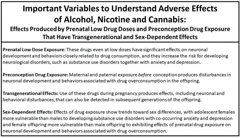 List of four specific variables closely examined in humans and animals in this review which are important for understanding the full impact of drug use on brain development and behavior.