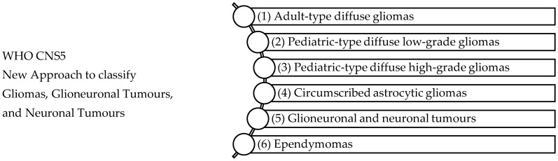 WHO CNS5 New Approach to classify Gliomas, Glioneuronal Tumours, and Neuronal Tumours [49]. The WHO CNS5 classification categorizes gliomas, glioneuronal tumours, and neuronal tumours into six distinct families: (1) Adult-type diffuse gliomas are the most common brain tumours constituting the bulk of adult neuro-oncology including glioblastoma (IDH-wildtype), astrocytoma (IDH-mutant), and oligodendroglioma (IDH-mutant and 1p/19q-codeleted), (2) Paediatric-type diffuse low-grade gliomas usually present favourable outcomes and include diffuse astrocytoma (MYB- or MYBL-1-altered), angiocentric glioma, polymorphous low-grade neuroepithelial tumour of the young, and diffuse low-grade glioma (MAPK pathway-altered), (3) Paediatric-type high-grade gliomas are typically aggressive tumours and include diffuse midline glioma (H3 K27-altered), diffuse hemispheric glioma (H3 G34-mutant), diffuse paediatric-type high-grade glioma (H3-wildtype and IDH-wildtype), and infant-type hemispheric glioma, (4) Circumscribed astrocytic gliomas are termed “circumscribed” considering their more contained growth pattern when compared to “diffuse” tumours, (5) Glioneuronal and neuronal tumours, and (6) Ependymal tumours.