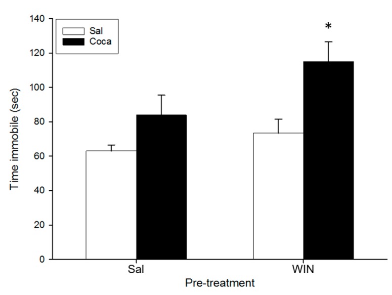 Effect of WIN 55212-2 administration during adolescence on the tail suspension test after cocaine withdrawal in adulthood. Over PND 34–47 (adolescence) mice (n = 10 per group) were pre-treated with Sal or WIN (0.5 mg/kg given once daily). In adulthood (21 days later) they were treated with Sal or Coca in three daily injections separated by a 60-min interval according to the ensuing regime: 5 mg/kg on PND 68 and 69, 15 mg/kg from PND 70 to 72, a two-day abstinence period, and 25 mg/kg from PND 75 to 79. Animals were tested on PND 83. Bars depict mean ± SEM of the time (s) during which the mice remained immobile in the tail suspension test (* p < 0.05 significantly different from the rest).