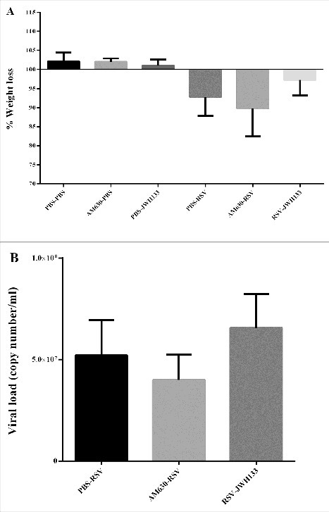 The effect of CB2 receptors on mice weight loss and viral load following RSV infection. (A) The graph shows changes in body weight 5 days after the primary RSV or mock infection. (B) CB2 receptors were blockade via using AM630 or activated through JWH133 daily and RSV copy number was determined by quantitative real-time polymerase chain reaction in BAL supernatant on day 5 after infection. Results represent the mean ±SEM of 6 animals for each group.