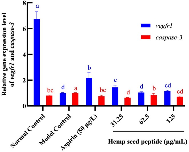 Comparison of relative expression of vegfr1 gene and caspase‐3 gene in each group. Different letters indicate p < 0.05.
