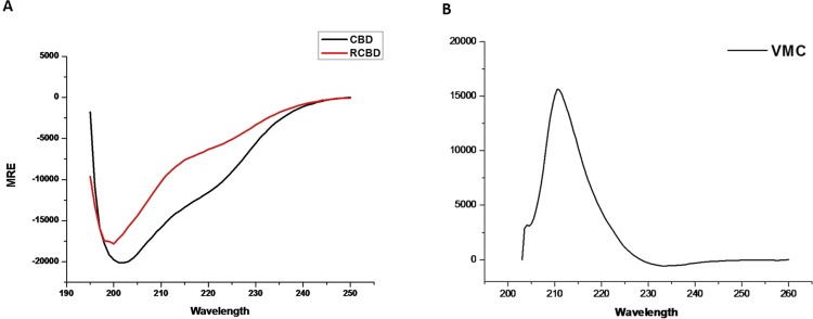 Secondary structure determination by circular dichroism (CD). CD spectra of CBD and RCBD (Panel A) and VMC (Panel B).