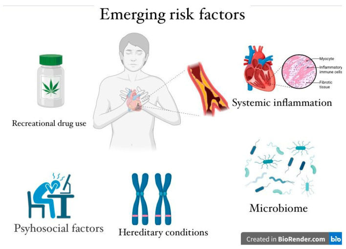 Emerging cardiovascular risk in young people.