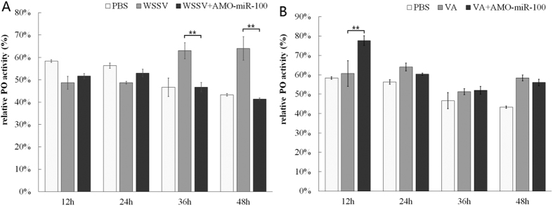 Effects of AMO-miR-100 interference on phenol oxidase (PO) activity.Shrimps were treated with a pathogen (WSSV or V. alginolyticus) only, with a combination of pathogen, and with AMO-miR-100 (WSSV + AMO-miR-100 or VA + AMO-miR-100). PBS was use as a control. VA stands for V. alginolyticus. (A) Hemocytic PO activity after WSSV or WSSV + AMO-miR-100 treatment; (B) Hemocytic PO activity after V. alginolyticus or V. alginolyticus + AMO-miR-100 treatment. Each column represents the mean of triplicate assays.