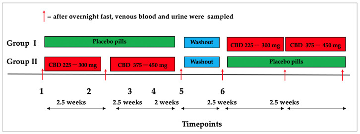 Research design. DehydraTECH™2.0 CBD (225 to 300 mg split over three times daily for the initial 2.5 weeks and 375 to 450 mg split over three times for the following 2.5 weeks). Participants repeated tests for a further five weeks under varied circumstances after a two-week washout. Three times in each study arm, participants visited the laboratory on a total of six occasions, each after an overnight fast.
