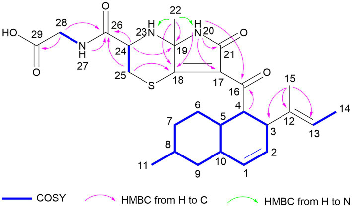 Key COSY and HMBC correlations of compound 1.