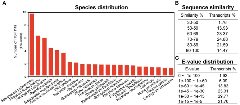 BLAST analysis. (A) Blast species distribution of closely related bryophyte species against NCBI non redundant (nr) database with an E-value of 1e-03. (B) Sequence similarity and (C) E-value distribution of BLAST results.