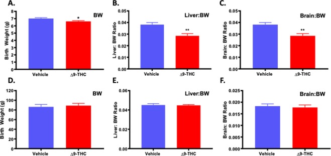 Exposure to 3 mg/kg Δ9-THC during gestation leads to symmetrical fetal growth restriction followed by postnatal catch-up growth. (A) birth weight, (B) liver:body weight ratio at birth, and (C) brain: body weight ratio at birth. (D) body weight at 3 weeks, (E) liver:body weight ratio at 3 weeks, and (F) brain: body weight ratio at 3 week. Mean ± SEM, average weight/litter, N = 8 dams/group, Significance; Student’s t-test (*P < 0.05, **P < 0.001).