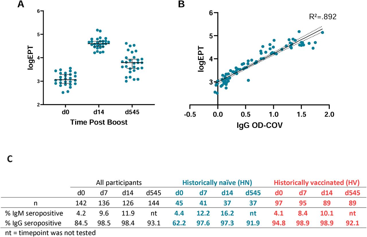 OPXV endpoint antibody titers and durability post booster vaccination.Serum specimens from a subset of HN subgroup were tested for endpoint titer against VACV by ELISA. A) Individual specimen EPT results for a subset of specimens at days 0, 7 and 545 days. B) Linear regression plot of single dilution IgG OD-COV vs log10 transformed EPT. The dotted lines mark the 95 % prediction band of the best-fit line. C) The durability of IgM and IgG responses at different time points after booster vaccination in HN and HV individuals determined by ELISA.