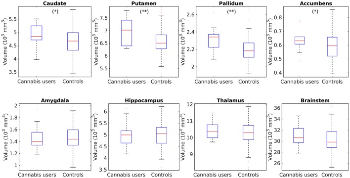 Box plots showing the comparisons of subcortical volume in the caudate, putamen, pallidum, accumbens, hippocampus, amygdala, thalamus, and brainstem between cannabis users and the control group HC2. **Individual tests significant at a corrected p < 0.05, *Significant only at the uncorrected level p < 0.05.