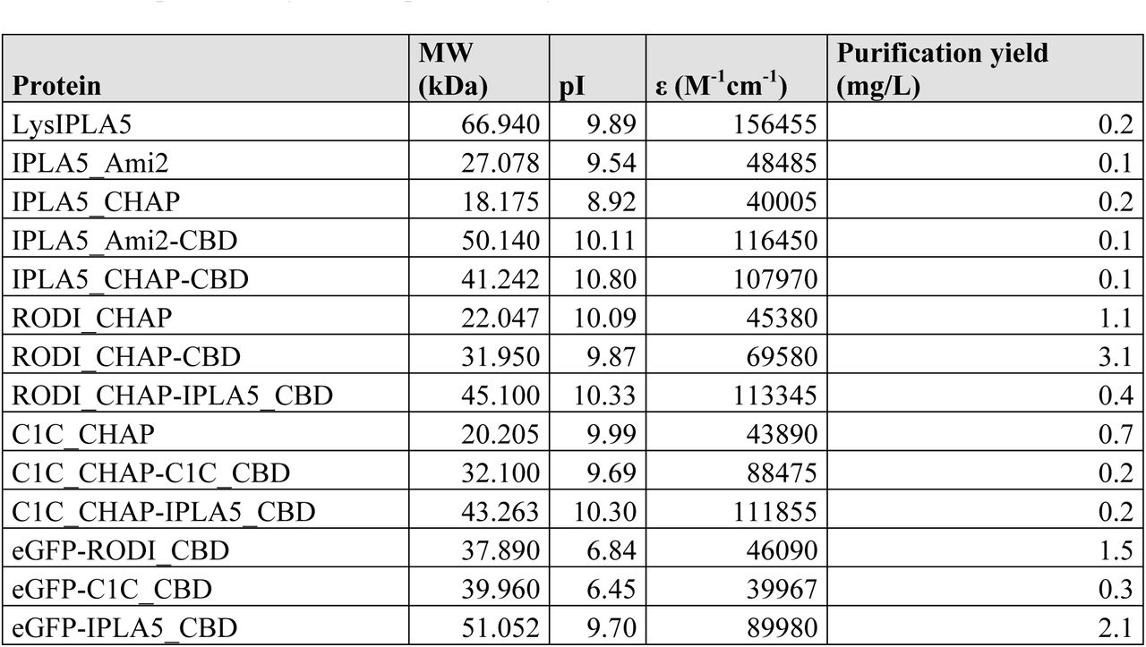 Predicted features (molecular weight, isoelectric point, extinction coefficient) of the proteins used in this work using Expasy ProtParam (https://web.expasy.org/protparam/) along with their experimentally verified purification yield.