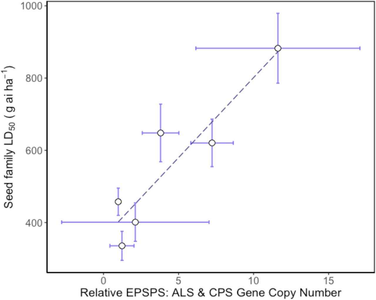 Relationship between relative mean EPSPS gene copy number and glyphosate resistance phenotype in Amaranthus tuberculatus seed families.Mean 5-enolpyruvylshikimate-3-phosphate synthase (EPSPS) gene copy number is relative to carbamoyl phosphate synthetase (CPS) & acetolactate synthase (ALS) reference genes. Error bars are standard errors of the mean.