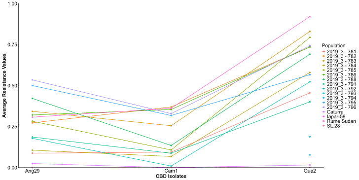 Graphical representation of the G × I interaction of the Iapar59 × Rume Rume population and the isolates Ang29, Cam1, and Que2. X-axis: Isolates of C. kahawae; Y-axis: Average resistance of C. arabica populations.