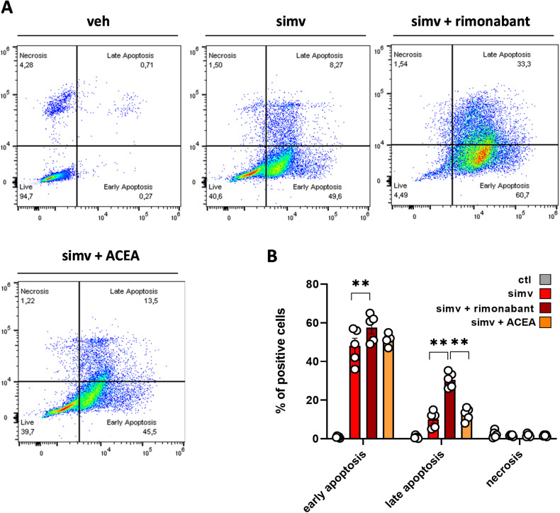 Cell apoptosis measured in C2C12 myoblasts exposed to simvastatin in the presence of rimonabant or ACEA.A Representative images of FACS analysis performed in C2C12 myoblasts exposed to simvastatin (30 µM) in the presence or absence of rimonabant (1 µM) or ACEA (1 µM) for 24 h (B) Bar graph with individual points showing quantification of results. Each bar is the mean ± S.E.M. from five independent biological samples. ** = p ≤ 0.01 versus the indicated experimental groups.