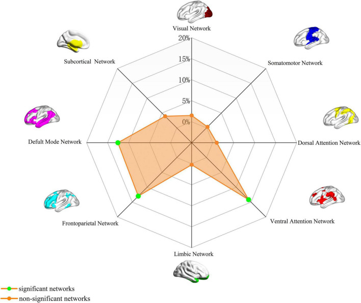Radar chart illustrating brain networks with significance levels. Networks include Visual, Somatomotor, Dorsal Attention, Ventral Attention, Limbic, Frontoparietal, Default Mode, and Subcortical. Significant networks marked with green dots; non-significant with orange. Brain areas are visually represented around the chart.
