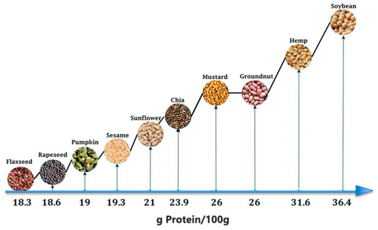 Food-use oilseed protein content per 100 g.
