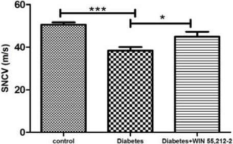 Effect of treatment with WIN 55, 212-2 (100 µg/10 µl, IT) on sensory nerve conduction velocity.Values are expressed as mean ± SEM. *P<0.05 compared to diabetes group and ***P<0.001 compared to control group