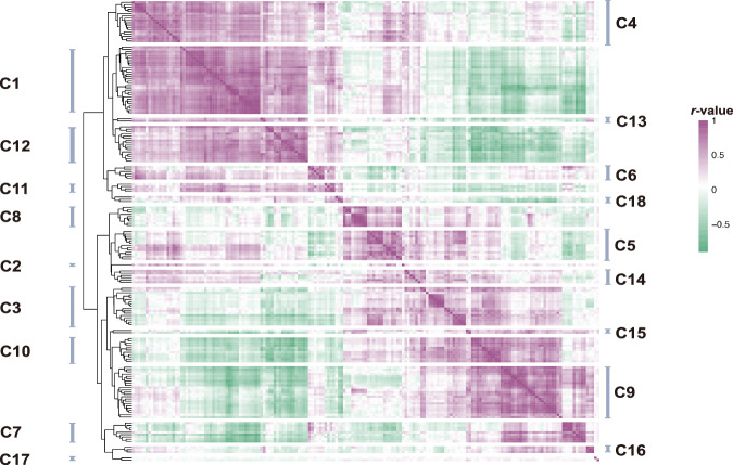 Longitudinal human DNA methylation (DNAm) atlas.Correlation matrix of longitudinal DNAm change (ΔDNAm = DNAm19 - DNAm14) across 175 consensus co-methylation modules identified using WGCNA. Each cell reflects the Pearson correlation between longitudinal change scores of two modules. Hierarchical clustering of this matrix yielded 18 higher-order DNAm clusters (C1–C18), representing coordinated methylation trajectories across adolescence.