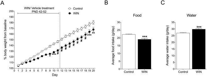 (A) Chronic WIN treatment in adolescence decreased body weight. *p < 0.05, **p < 0.01, ***p < 0.001; #p < 0.0001 (two-way repeated-measures ANOVA followed by Bonferroni’s multiple-comparison post hoc test). (B) Chronic WIN treatment in adolescence decreased food intake. (C) Chronic WIN treatment in adolescence increased water intake. The data are expressed as mean ± SEM. ***p < 0.001 (Student’s unpaired two-tailed t-test; n = 9).