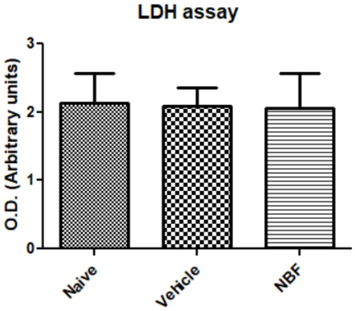 Cytotoxicity analysis as assessed by LDH release from RAW264.7 macrophages. LDH levels were measured by O.D. (arbitrary units) and are presented as the mean ± SD. At least 8 replicates were in each group (n = 8 for naïve, n = 16 for vehicle, and n = 14 for NBF). ANOVA with Bonferroni’s post hoc test was performed. p-value = 0.92.