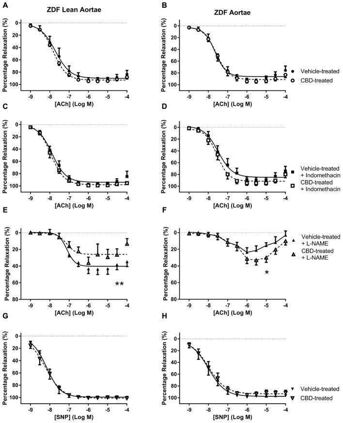 The effect of CBD (open symbols) or vehicle (closed symbols) treatment on ex vivo responses to ACh (A–F) and SNP (G,H) in aortic rings taken from ZDF Lean (left side) or ZDF rats (right side). Some arteries were incubated in vitro in the presence of 3 μM indomethacin (squares, C,D), or 300 μM L-NAME (upward triangles, E,F). Data are mean ± SEM, n = 5/6. ∗P < 0.05 by t-test of percentage vasorelaxation at 10 μM Ach comparing responses to Ach in ZDF arteries after 7 days treatment with CBD, ∗∗P < 0.01 by t-test between Rmax values comparing responses to Ach in ZDF arteries after 7 days treatment with CBD.