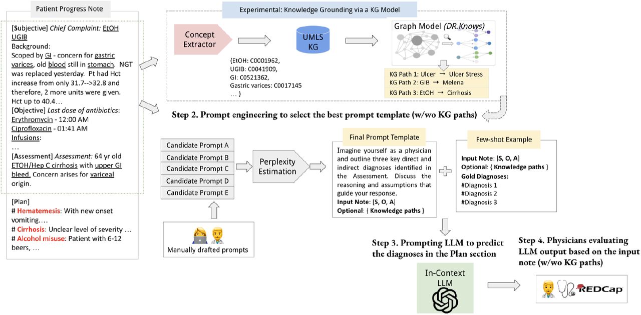 Study overview: we focused on generating diagnoses (red font text in the Plan section) using the SOAP-Format Progress Note with the aid of large language models (LLM). The input consists of Subjective, Objective and Assessment sections (the dotted line box on the example progress note), and diagnoses in the Plan sections are the ground truth. We introduced an innovative knowledge graph model, namely DR.KNOWS, that identifies and extracts the most relevant knowledge trajectories from the UMLS Knowledge Graph. The nodes for the UMLS knowledge graph are Concept Unique Identifiers (CUIs) and edges are the semantic relations among CUIs. We experimented with prompting ChatGPT for diagnosis generation, with and without DR.KNOWS predicted knowledge paths. Furthermore, we investigated how this knowledge grounding influences the diagnostic output of LLMs using human evaluation. Text with underlines are the UMLS concepts identified through a concept extractor.