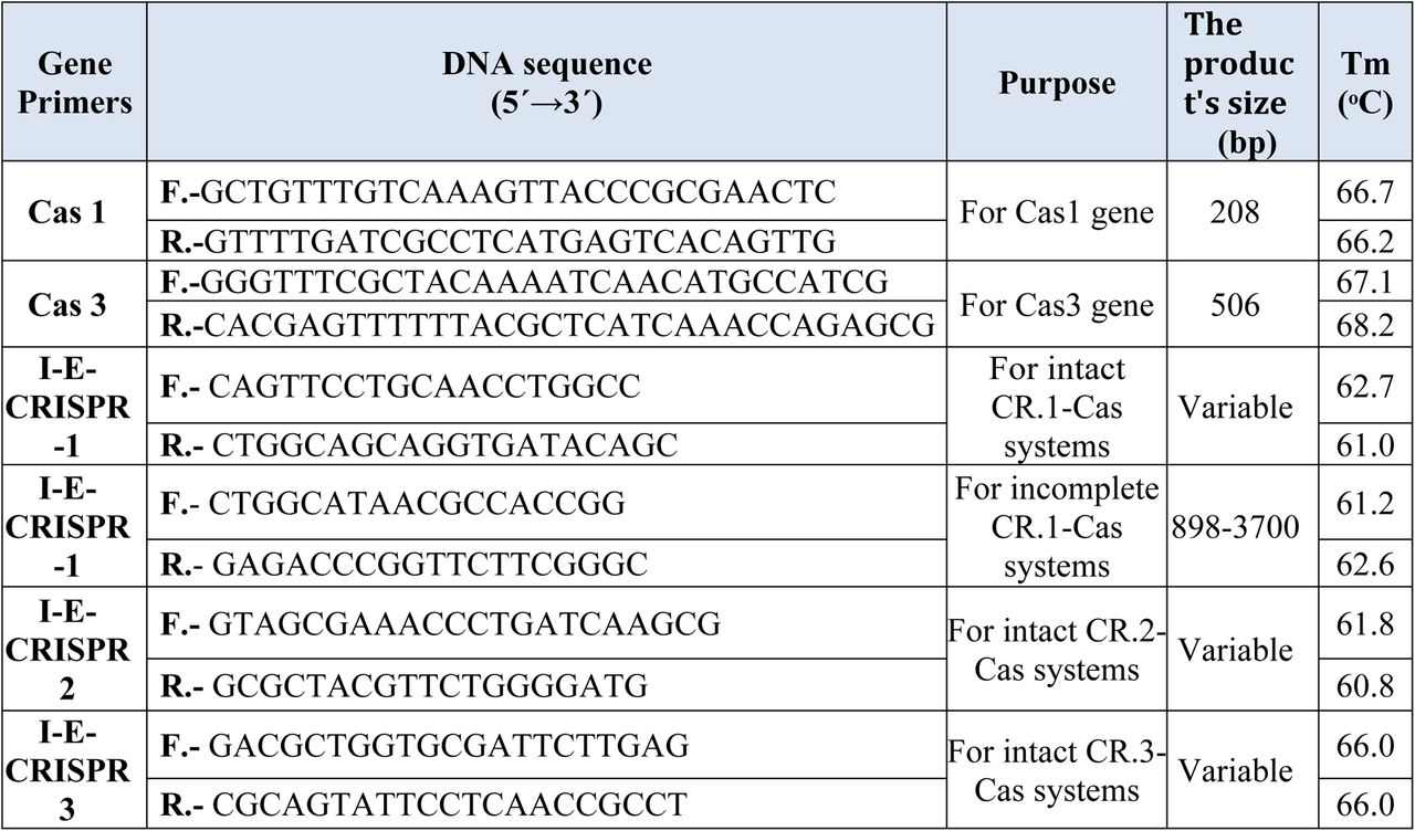 Detailed information about gene primers, including their names, sequences, sizes, guanine:cytosine ratio, melting point, and intended use.