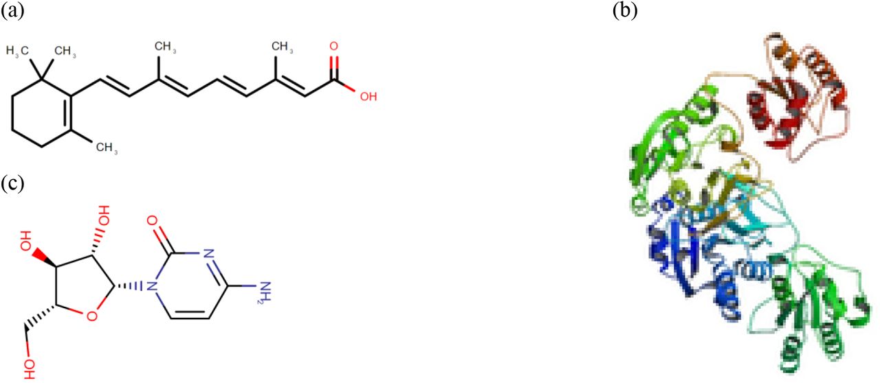 Drug structure for (a) Tretinoin, (b) Asparaginase, (c) Cytarabine from https://www.drugbank.com/