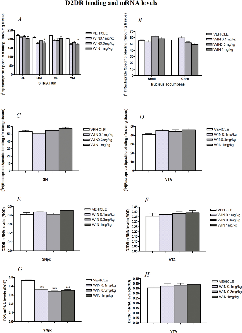 D2 dopamine receptor (D2DR) binding site levels labeled with [3H]-raclopride in (A) striatum, (B) nucleus accumbens (NAc), (C) substantia nigra (SN) and (D) ventral tegmental area (VTA), D2DR receptor mRNA levels in (E) substantia nigra pars compacta (SNpc) and (F) VTA and D2 autoreceptor (D2S) mRNA levels in (G) SNpc and (H) VTA of chronically WIN55,212- and vehicle-treated rats. The asterisk (*) denotes a statistically significant effect of WIN55,212-2 compared to the vehicle group: *P<.05, **P<.01, and ***P<.001, n=9-10.