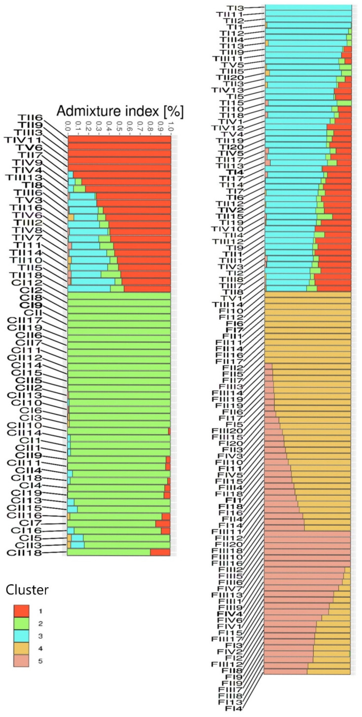 Population structure of three different hemp varieties (‘Carmagnola selected’ (CI–CII), ‘Tiborszallasi’ (TI–TV) and ‘Finola selection’ (FI–FIV)) with associated phenotypes.