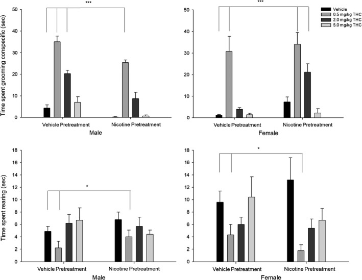 Social interaction tests show the effects of acute THC exposure and prior nicotine exposure on male and female Rats. (Top panel) Time spent grooming conspecific. (Bottom) Time spent rearing (s). Behavioral data (means ± SE) for the social interactions tests for eight experimental conditions (n = 12/group; Veh‐Veh, Veh‐0.5THC, Veh‐2.0THC, Veh‐5.0THC, Nic‐Veh, Nic‐0.5THC, Nic‐2.0THC, and Nic‐5.0THC) in male and female adult rats. ANOVAs and Dunnett's t test (2‐sided): *p < .05 and **p < .01 and ***p < .001 compared to vehicle (Veh‐Veh)
