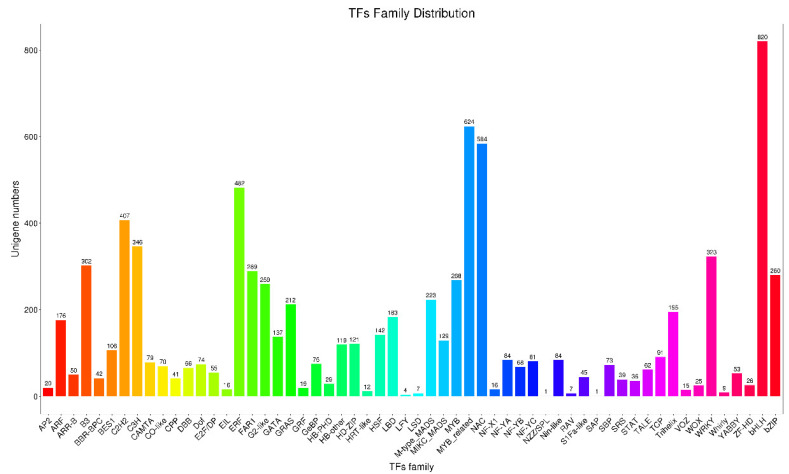 The distribution of TFs family.