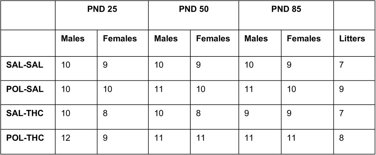 Sample size per timepoint following quality control.Postnatal day (PND); poly I:C (POL); saline (SAL); delta-9-tetrahidrocannabinol (THC); male (M); female (F).