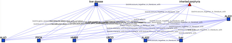 Example of a Translator answer subgraph demonstrating a relationship between liver disease and a set of genes associated specifically with inherited porphyria: ALAS1; ALAS2; ALAD; PPOX; HMBS; and UROD.