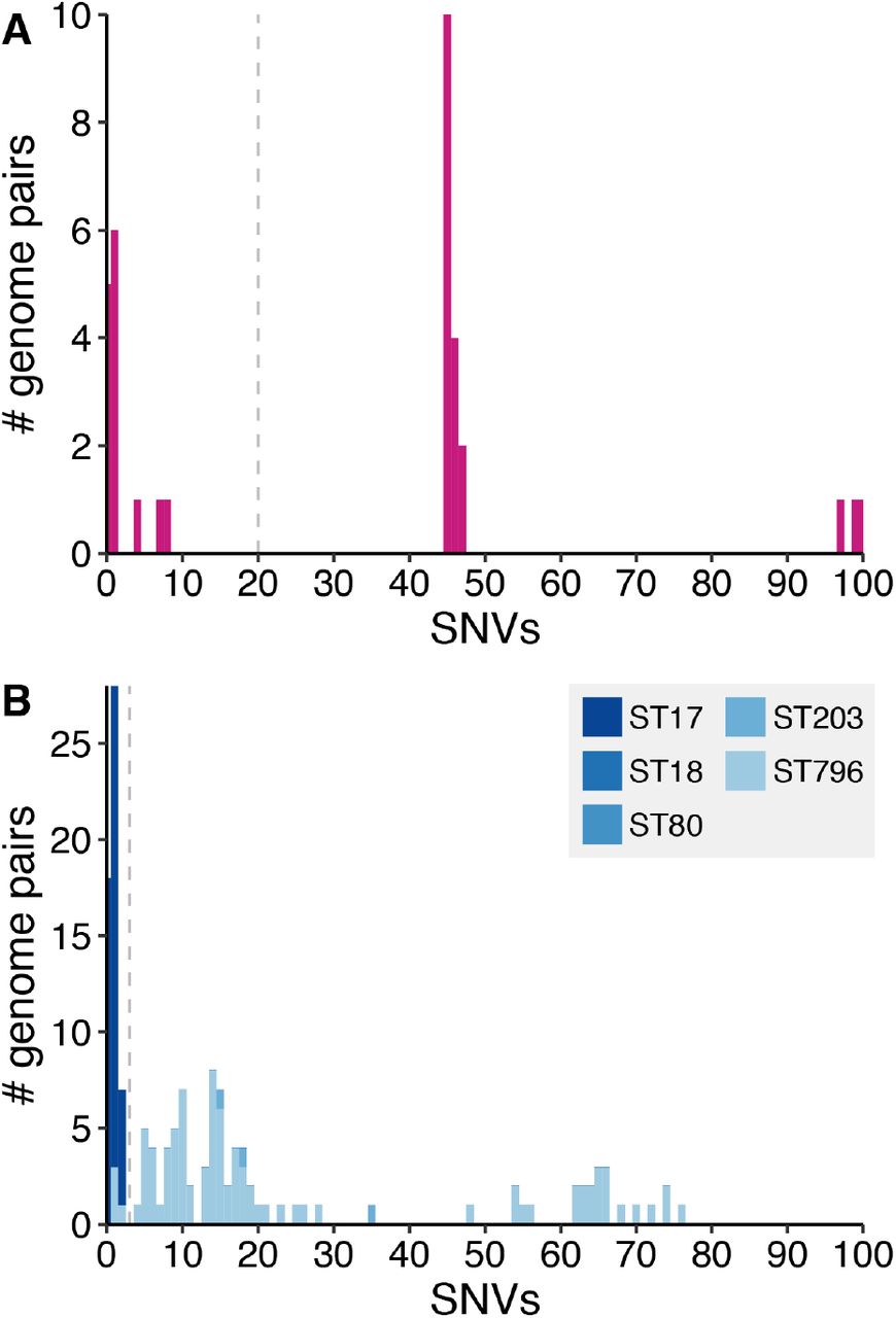 Distribution of single nucleotide variant (SNV) counts ≤100 for pairs of (A) third-generation cephalosporin-resistant Gram-negative (3GCR-GN) and (B) VRE isolates from different patients.Grey dashed lines indicate the SNV thresholds used to define putative transmissions (n ≤ 20 SNVs for 3GCR-GN and n ≤ 3 SNVs for VRE). Bars in (B) are coloured by the E. faecium multi-locus sequence type (ST) of the isolates as indicated in the legend.
