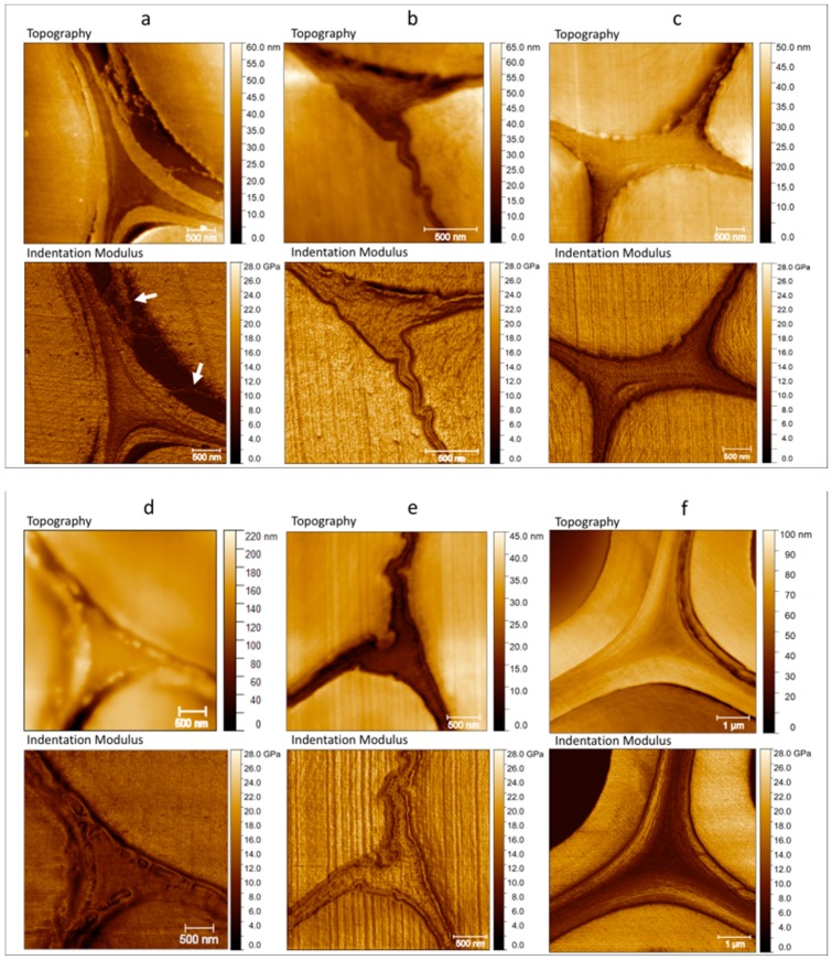 Topography (top) and indentation modulus (bottom) of the cell corners of (a) flax with illustration of decohesion (highlighted with white arrows) between S1 and S2 layers, (b) nettle with values of indentation modulus close to those of the cell wall, (c) jute, (d) kenaf, (e) hemp with the highest indentation modulus, and (f) date palm tree with the lowest indentation modulus but with a homogeneous and thick area for the middle lamella.