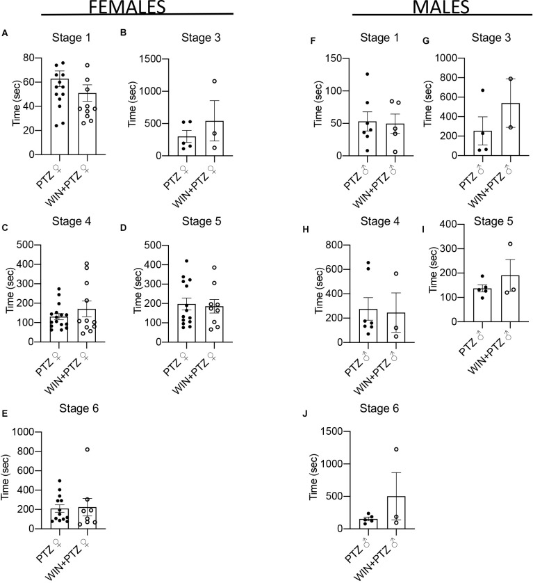 Latency to epileptic crisis at stages of increasing severity. (A–E) Latency in females (PTZ: n = 16 for stages 1 and 4, n = 5 for stage 3, n = 14 for stage 5, n = 13 for stage 6. WIN + PTZ: n = 12, 11, 9, and 8 for stages 1, 4, 5, 6, respectively, n = 3 for stage 3). (F–J) Latency to epileptic crisis at stages of increasing severity in males (PTZ: n = 7 stages 1 and 4; n = 4 for stage 3, n = 5 for stages 5 and 6. WIN + PTZ: n = 5 for stage 1, n = 2 for stage 3, n = 3 for stages 4, 5, and 6).