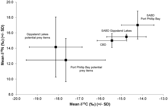 Species and population differences in stable isotope signatures and comparisons to potential prey items in Port Phillip Bay and the Gippsland Lakes.δ13C (‰) and δ15N (‰) signatures (mean +/- SD) for common bottlenose dolphins (CBD) (n = 17) and the southern Australian bottlenose dolphin (SABD) in Port Phillip Bay (n = 5) and the Gippsland Lakes (n = 6) in Victoria, Australia are shown. Additionally the δ13C (‰) and δ15N (‰) signatures (mean +/- SD) for potential prey items in the Gippsland Lakes and Port Phillip Bay are shown.