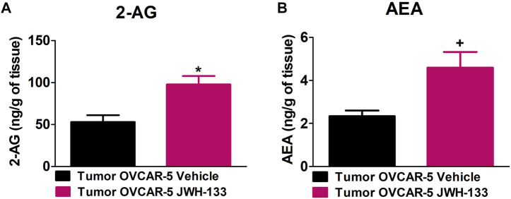 Increase in 2-arachidonoyl glycerol (2-AG) and anandamide (AEA) levels in the OVCAR-5 ectopic xenograft tumors of SCID-SHO female mice receiving chronic systemic administration of JWH-133. JWH-133 (1 mg/kg i.p.) chronic administration for 30 days starting on day 30 of tumor growth produced an increase in 2-AG (A) and AEA (B) levels in the OVCAR-5 ectopic xenograft tumors of SCID-SHO female mice relative to the vehicle treated group. Symbols represent the means ± SEM. (OVCAR-5 tumors in SCID-SHO female mice receiving vehicle, n = 5 SCID-SHO females; OVCAR-5 tumors in SCID-SHO female mice receiving JWH-133, n = 6 SCID-SHO females). *p < 0.0047 unpaired t-test (t9 = 3.295, one-tailed); +p < 0.0128 unpaired t-test (t9 = 2.669, one-tailed).
