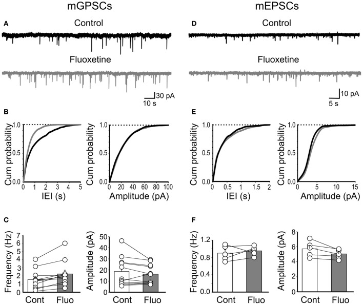 Fluoxetine increased the frequency of miniature GPSCs but did not affect miniature EPSCs. (A) Continuous voltage clamp recordings of mGPSCs from a holding potential of −60 mV in the presence of DNQX (20 μM), D-APV (10 μM), and TTX (1 μM) before and during application of fluoxetine (20 μM). (B) Cumulative distribution plots of inter event interval (IEI) and amplitude for the cell shown in A before (black) and during (grey) application of fluoxetine. (C) Summary plots of the mean frequency (n = 11; p = 0.002) and amplitude (n = 11; p = 0.17) of all cells tested (±SEM). (D–F) as in (A–C) but for mEPSCs (recorded in the presence of bicuculline, 10 μM, TTX, 1 μM). No significant differences in frequency (n = 5; p = 0.5) or amplitude (n = 5; p > 0.05) of mEPSCs were detected.