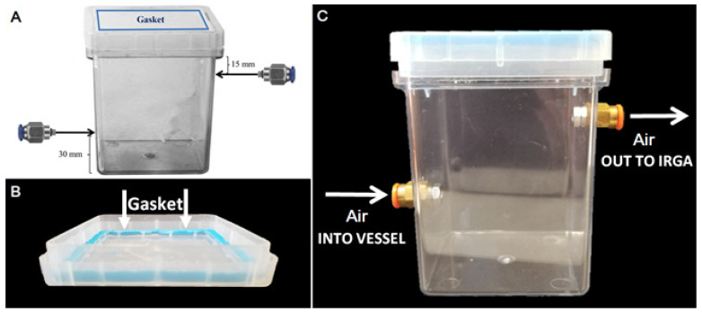 Gas exchange Magenta vessels. Design and functionality of gas exchange culture vessels. (A) Culture vessels were modified by fastening nickel-plated brass push-to-connect hose connections for ¼” tubes centered on opposite faces of the GA-7 Magenta vessel, mounted roughly 15 mm from the top lip and 30 mm from the vessel’s bottom. Insertion holes were threaded, and small O-rings were applied to hose connections to allow an air-tight seal. (B) To further ensure an air-tight seal for accurate gas exchange measurement, a malleable gasket was applied to the vessels between the lids and edge of box tops by forming “sticky tack” to adhere the two surfaces together. (C) Air at a constant flow rate and [CO2] was pumped into the bottom hose connection port, allowing gas to fill the vessel from the bottom, and then relayed to the IRGA from the upper hose connection port.