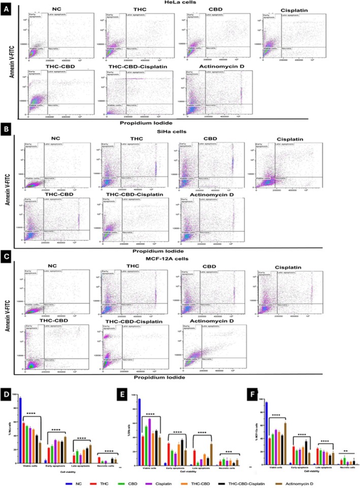 Annexin‐V FITC/PI flow cytometric analysis of (A) HeLa cells, (B) SiHa cells, and (C) MCF‐12A cells after 72 h of treatment. Bar graphs (D–F) represent the quantification of early and late apoptotic, necrotic, and viable cell populations in HeLa, SiHa, and MCF‐12A cells, respectively. Standard deviation represented by T‐bars; **p < 0.01 and ***p < 0.001 indicates statistical difference between compounds and negative control (NC).