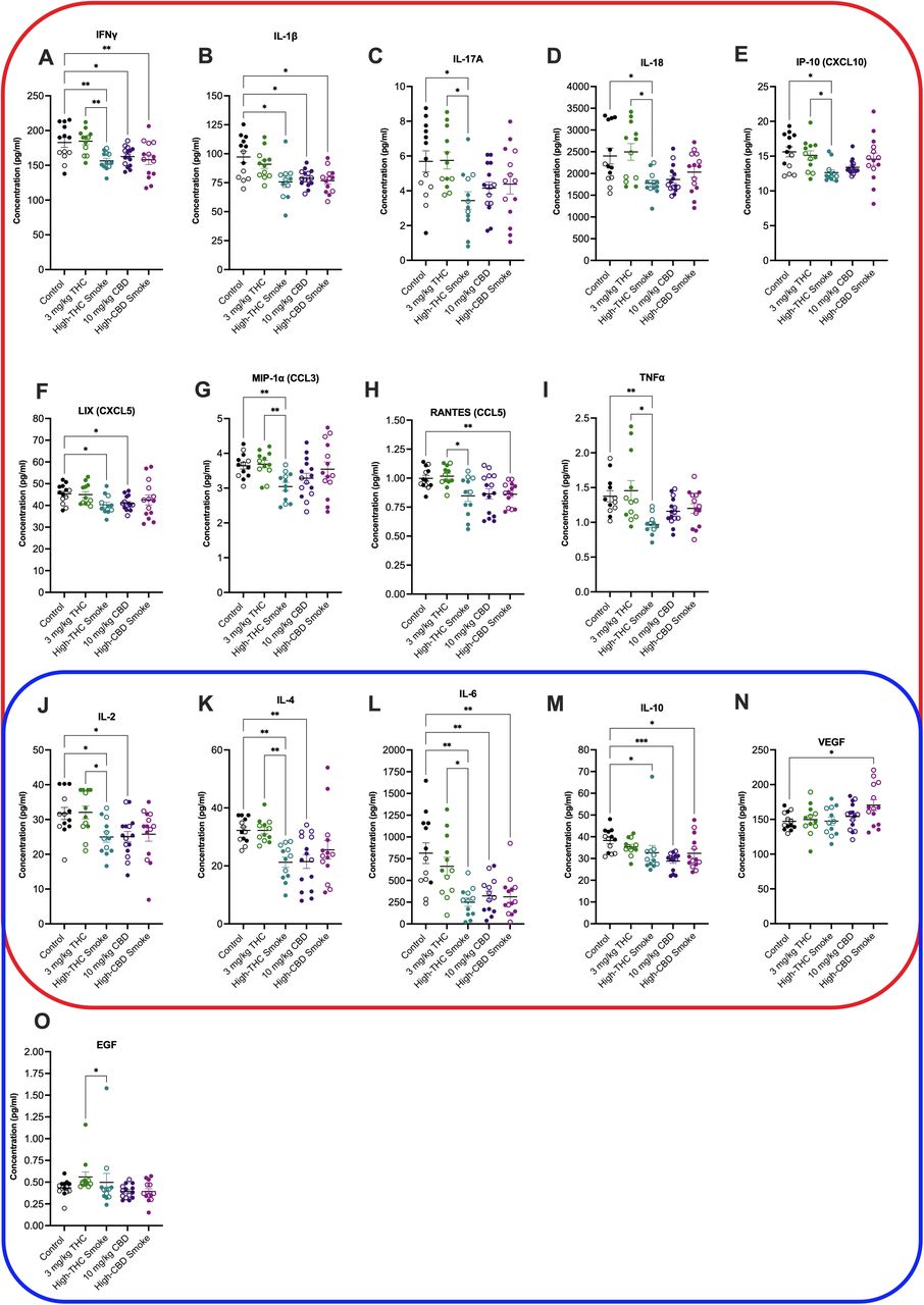 Fetal brain cytokine and chemokine concentrations 30 min after final treatment on GD20. Cytokines and chemokines are organized by type: species within the red squircle are broadly considered pro-inflammatory, species within the blue squircle are broadly considered anti-inflammatory. Because the role of IL-2, IL-4, IL-6, IL-10 and VEGF can be pro- or anti-inflammatory depending on context, these species are within both squircle. Data are displayed as mean ± S.E.M, n=12-15 samples/group. Closed circles are data points from males. Open circles are data points from females. An average of two replicates was used when possible. Note the y-axis varies in each panel depending on the cytokine measured. *p<0.05, **p<0.01 as indicated between groups.