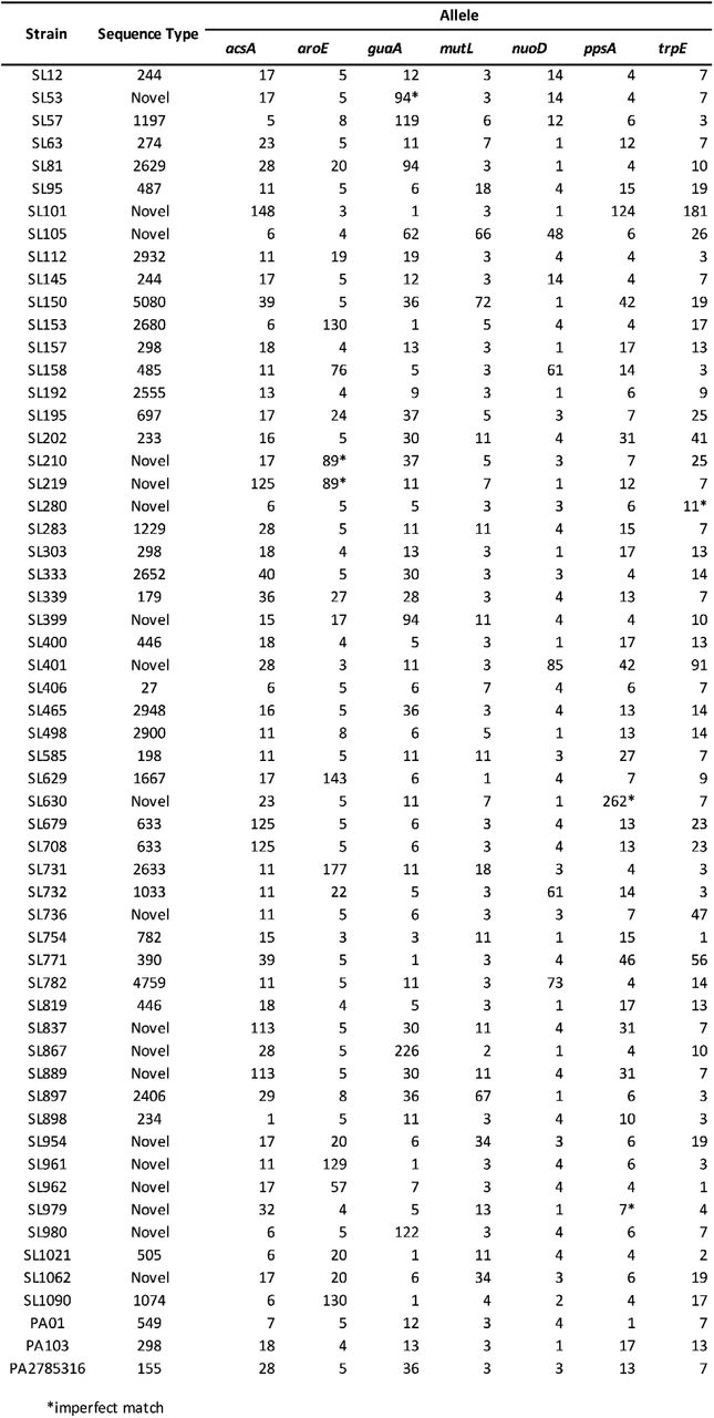 MLST profiles of clinical P. aeruginosa urinary isolates.