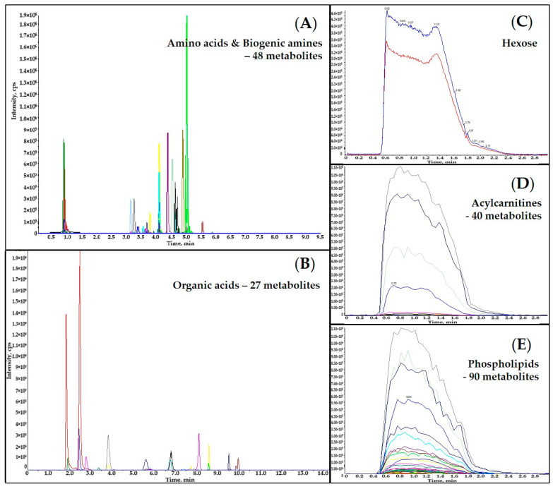 Overlaid representative Extracted Ion Chromatograms (EICs) of analyzed metabolites and ISTDs in an extracted pine needle sample: (A) EICs of amino acids, biogenic amines and their derivatives; (B) EICs of organic acids; (C) EICs of hexose; (D) EICs of acylcarnitines; (E) EICs of phospholipids.